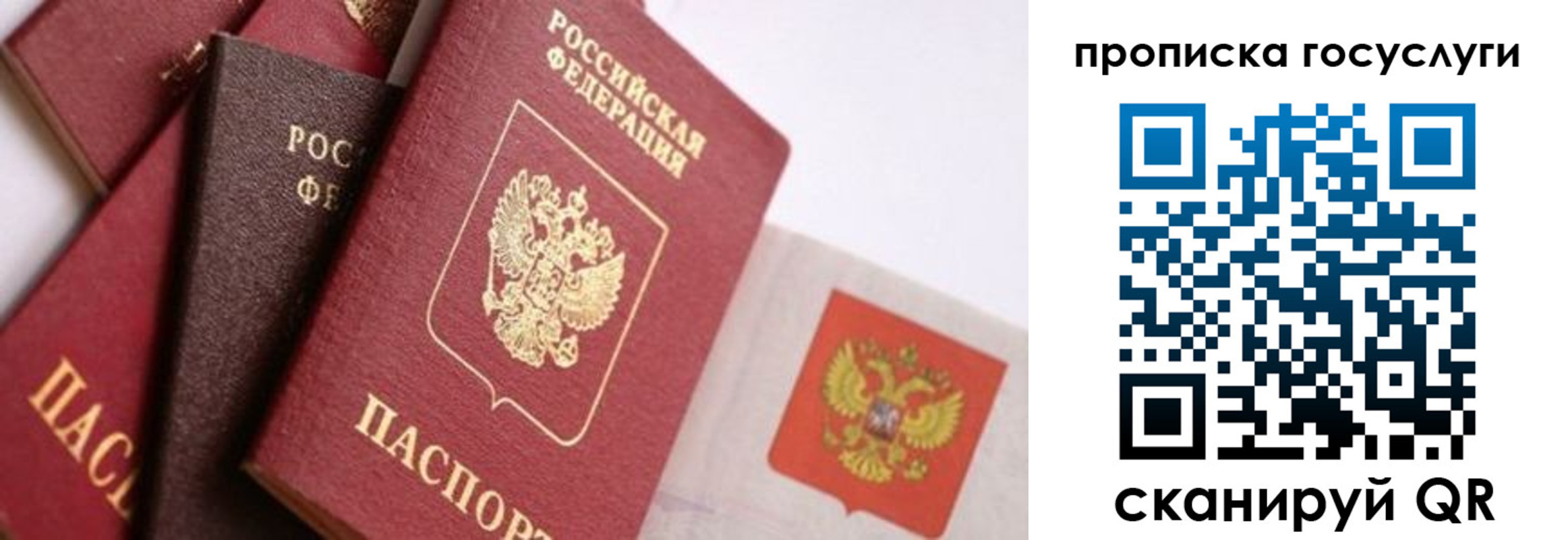 прописка законно в Павловске